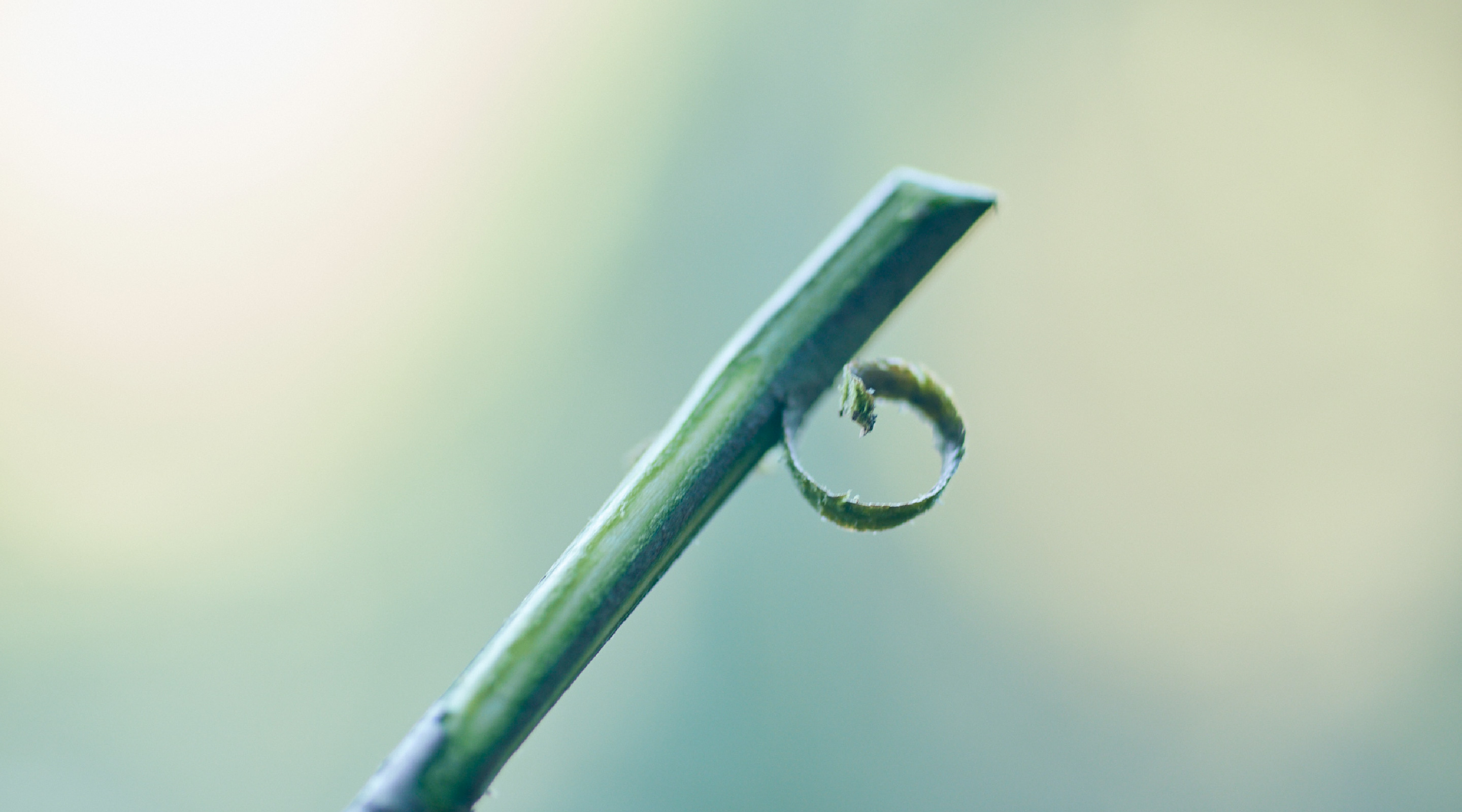 森を知り、森に香る。